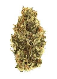 Berry Bliss Feminized