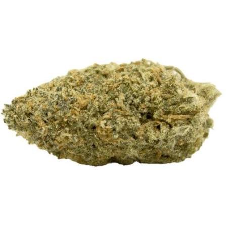 Wonka's Bubblicious Strain